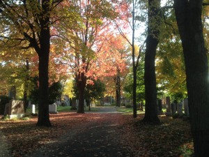 Premiers signes de l’automne