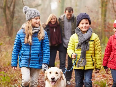 Organize a Family Outdoor Activity