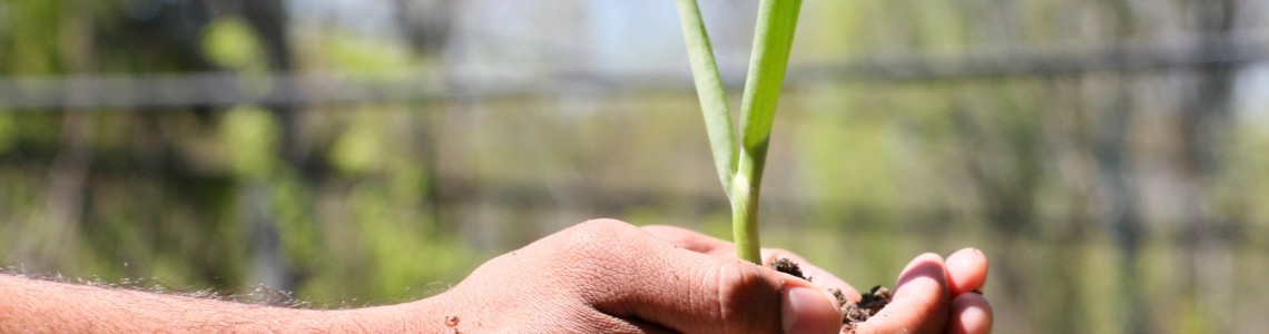 Protected: Projet Écosphère