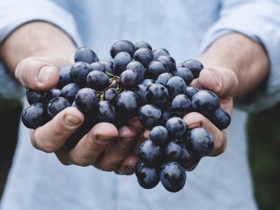 Eat at Least 5 Portions of Fruits and Vegetables