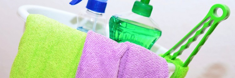 Use Reusable Cloths or Sponges Instead of Paper Towels