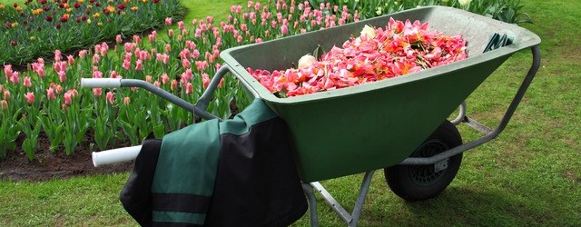 Gardening Therapy