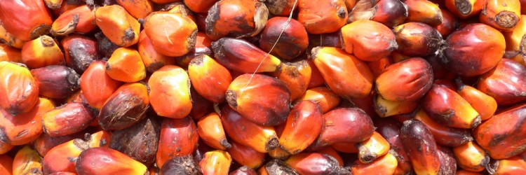 Palm Oil and Health