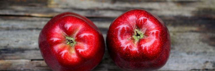 Le sucre sous différentes formes