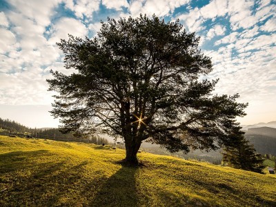 Trouver une alternative écologique à un produit acheté souvent