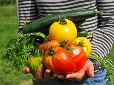 Préparer son jardin pour l'hiver