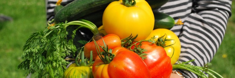 Préparer son jardin pour l’hiver