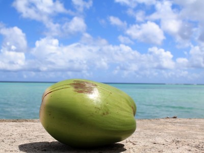 Utiliser l'huile de noix de coco comme crème hydratante