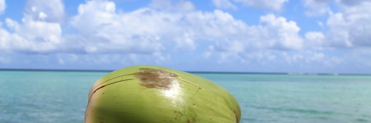 Utiliser l’huile de noix de coco comme crème hydratante