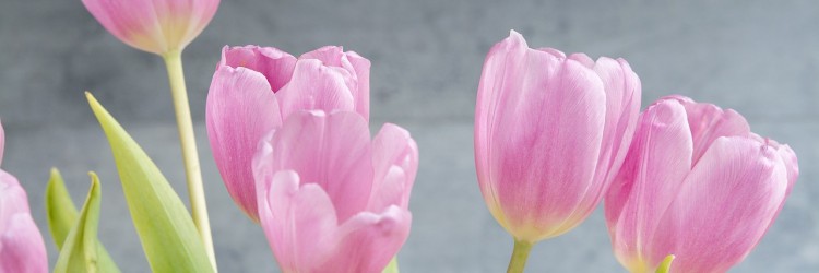 Les mamans au Canada