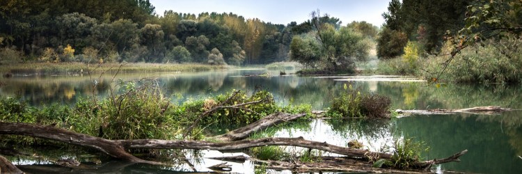 Prendre conscience de l’importance des cours d’eau