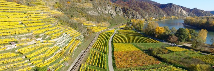 Gaspillage alimentaire et eau