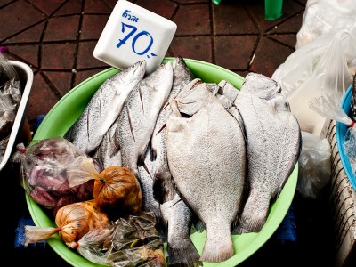 Espèces commerciales de poissons