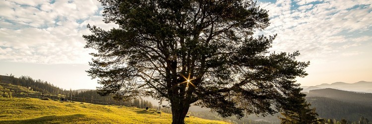 Protégé : N’imprimez pas plus de 10 feuilles cette semaine