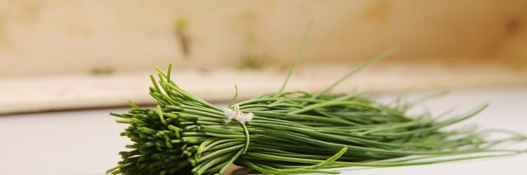 Cultiver ses fines herbes