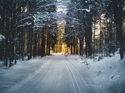 Prendre une marche dans la neige