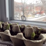 Célébrer le retour du beau temps avec un jardin