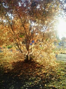 Le beau temps est de retour!