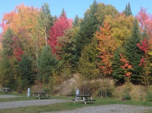 Premiers Signes de l’automne !