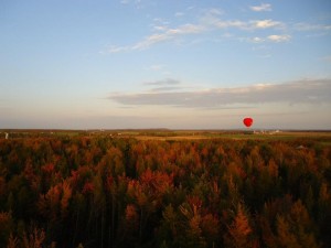 Ah ! L’automne ! :D