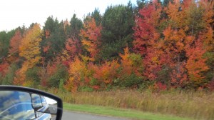 L automne sur la route