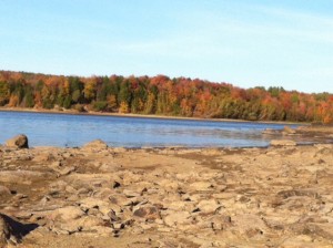 La beauté de l’automne