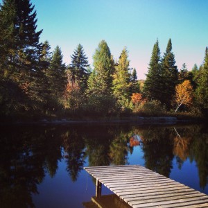 Les beautés de l’automne