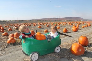 Jouer avec les enfants