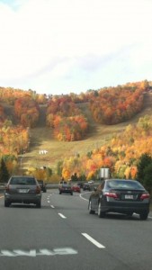 Les couleurs de l’automne