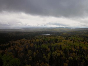 Automne en Abitibi