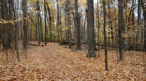 S’entendre marcher dans les feuilles