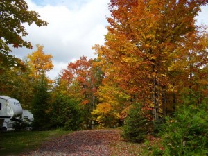 L’automne en une photo!