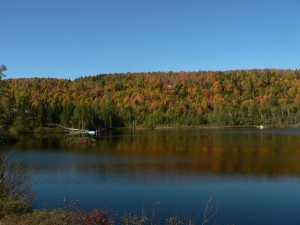 L’automne m’inspire la détente