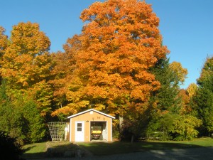 L’Automne