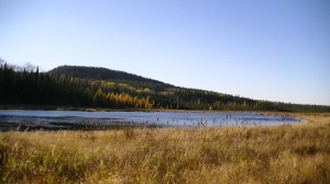 L’automne au camp de chasse