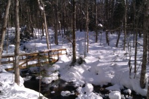 Promenade en nature