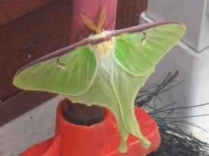 La beauté et les trésors de la nature