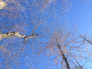 Regarder la vie d’un point de vue différent