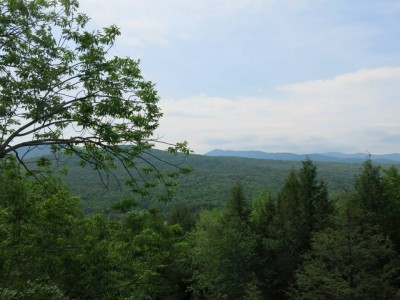 La beauté de la nature