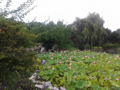 La nature à Montréal!