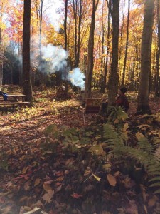 Les couleurs en forêt