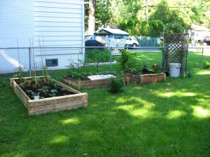 Un jardin même en appartement!