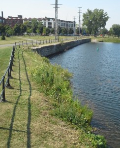 La nature urbaine