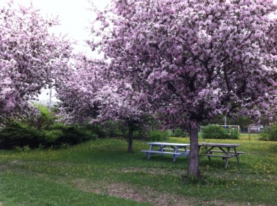 Le plein air, juste de l’autre côté de la fenêtre!