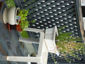 Créez un petit jardin de fines herbes avec vos enfants