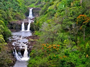 Attention à l’eau de notre source