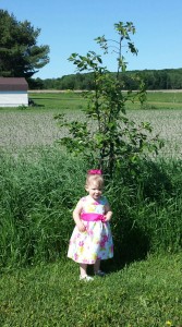 Un enfant… un arbre