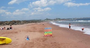 Détente à la plus belle plage de la Gaspésie !